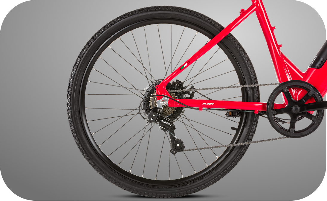 Fleek 250 - Imagem 1