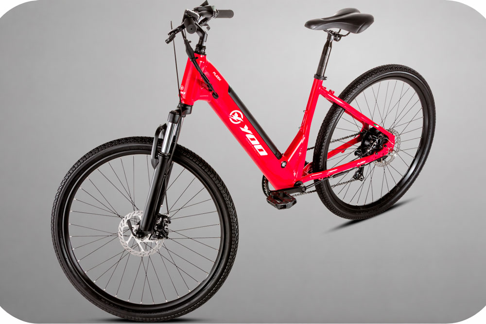 Fleek 250 - Imagem 2