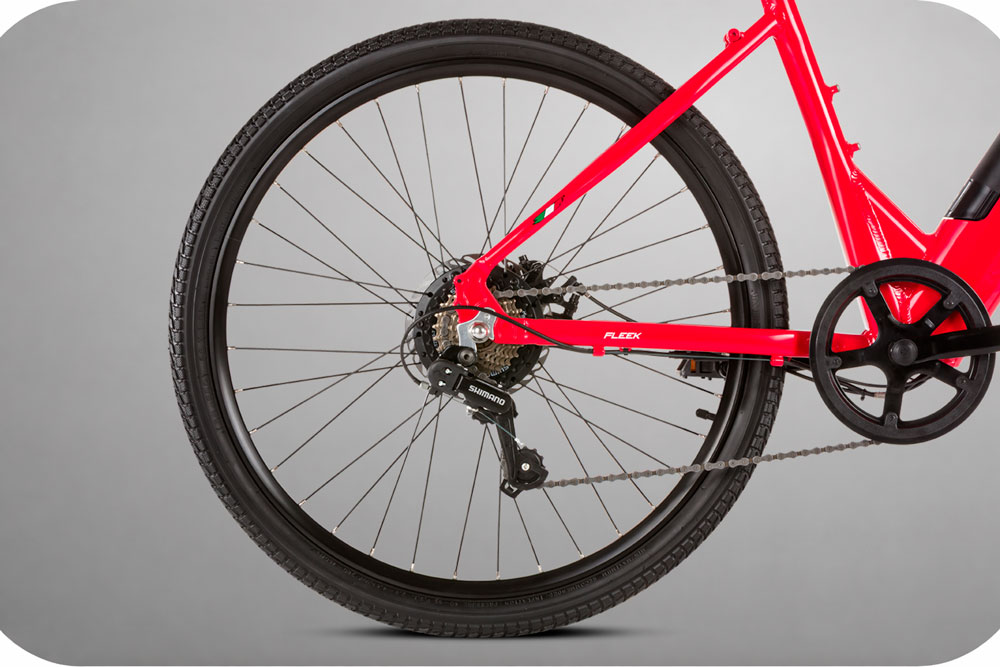 Fleek 250 - Imagem 4